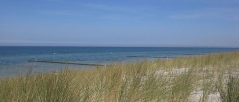 Plage à proximité