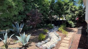 Un jardín con un sendero de piedra, diversas plantas y árboles.