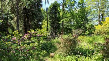 Ferienhaus | Innenbereich