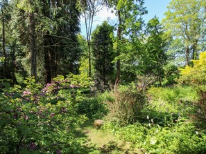 Cottage | Interior - Walkmill Barn (Bishops Castle)