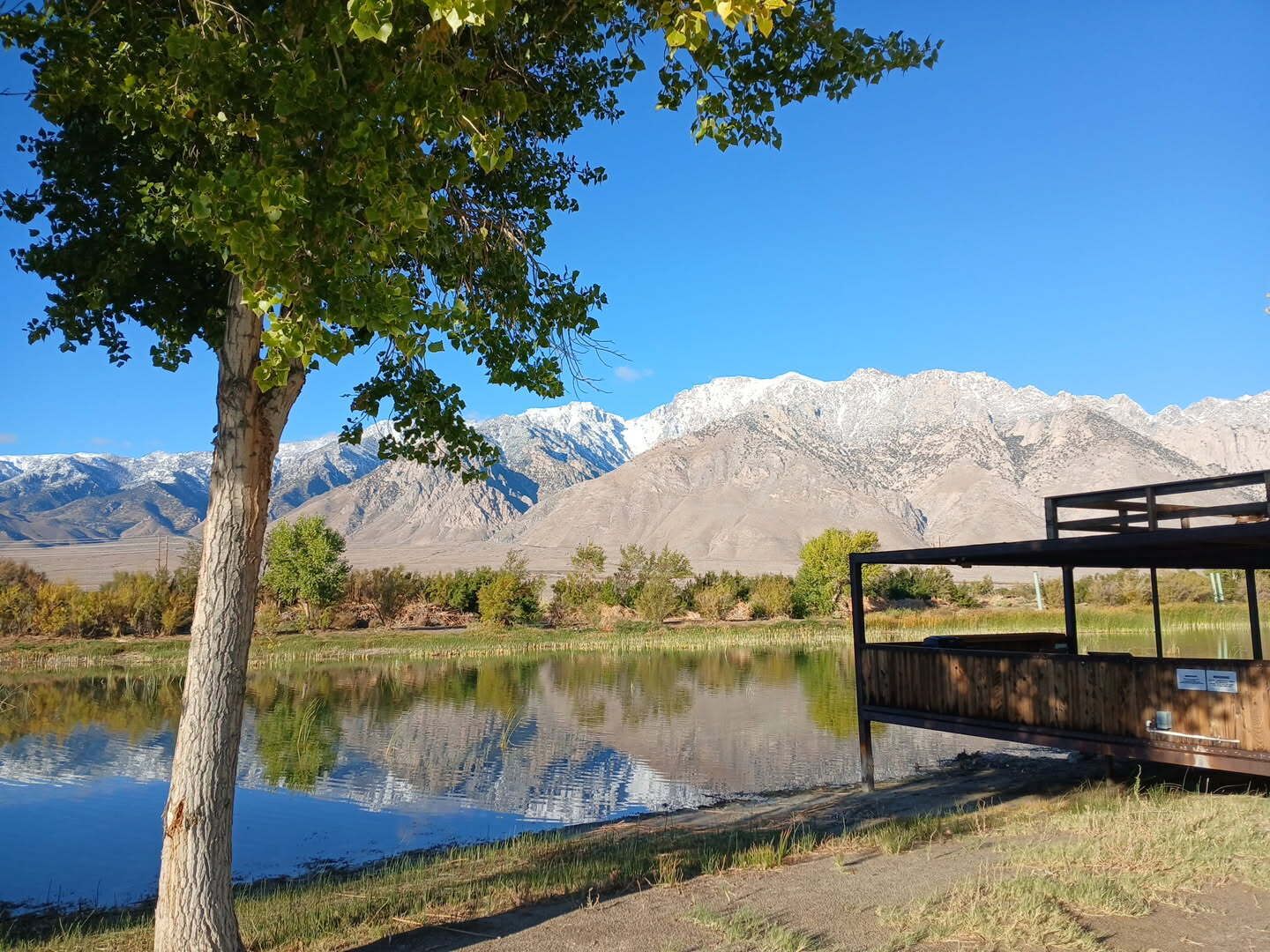 A lakeside view with a wooden deck overlooking a calm lake, surrounded by mountains and greenery.