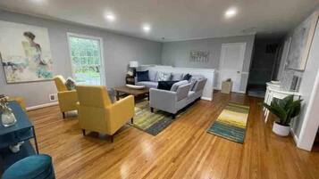 Télévision, cheminée, livres, espaces bureaux