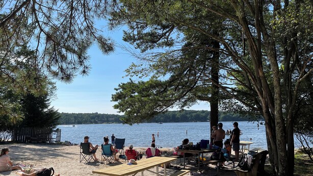 A beach with picnic tables and people relaxing. - Lake Harmony, 4BR, Lake Access, Kayak, Woods, Air Hockey, New Water Treat System (Lake Harmony)