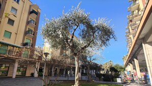 A tree-lined courtyard with a grassy area, benches, and a building with multiple balconies and windows.