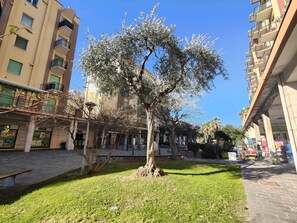 Parco della struttura