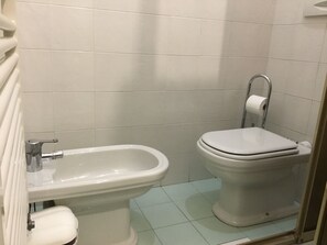 Shower, hair dryer, bidet, towels
