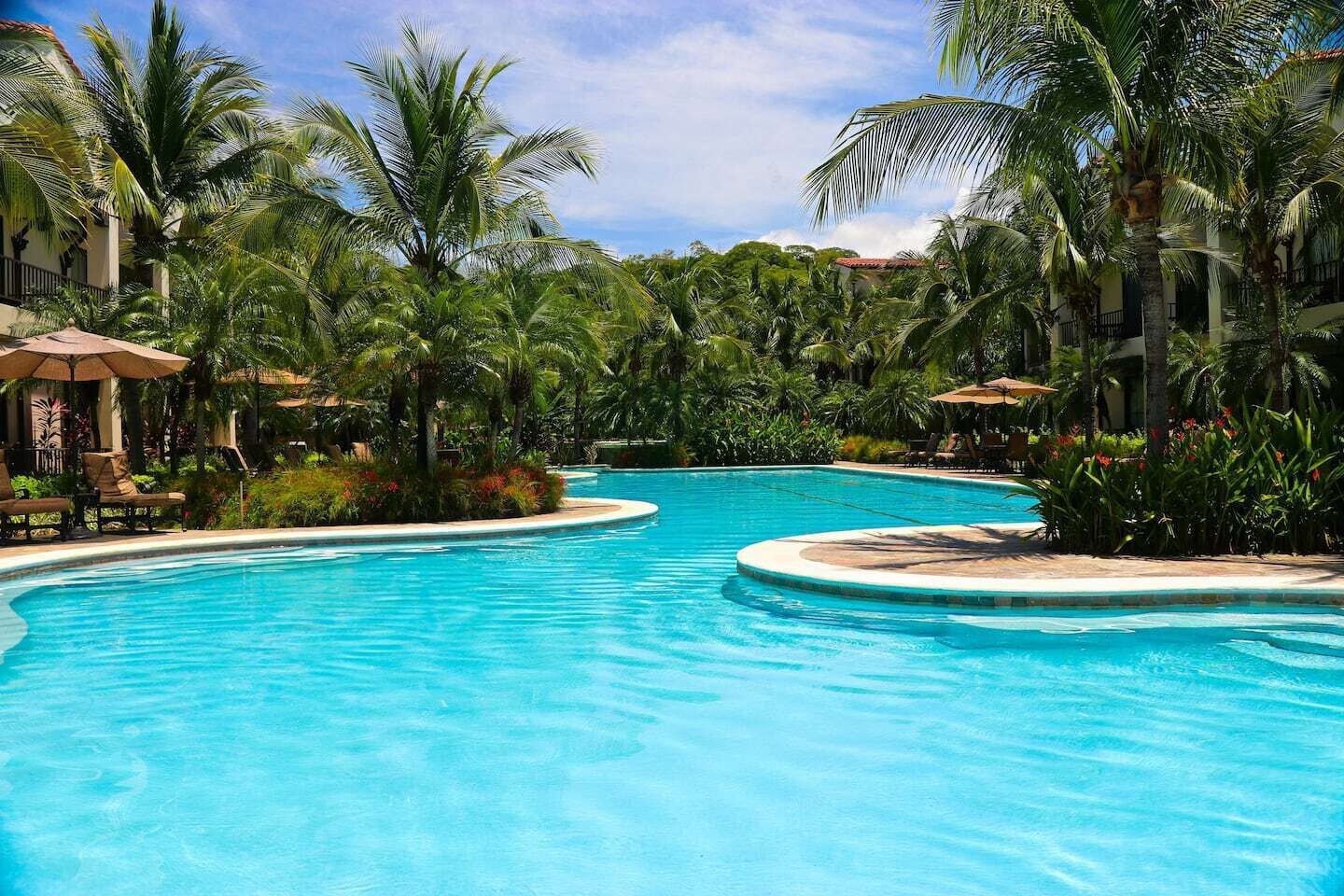 Pool på resort med palmer og liggestole.
