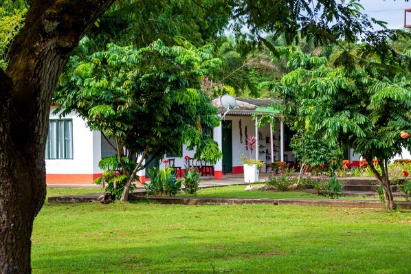 Exterior