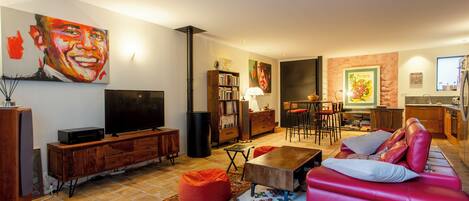 Télévision, cheminée, lecteur de DVD, livres