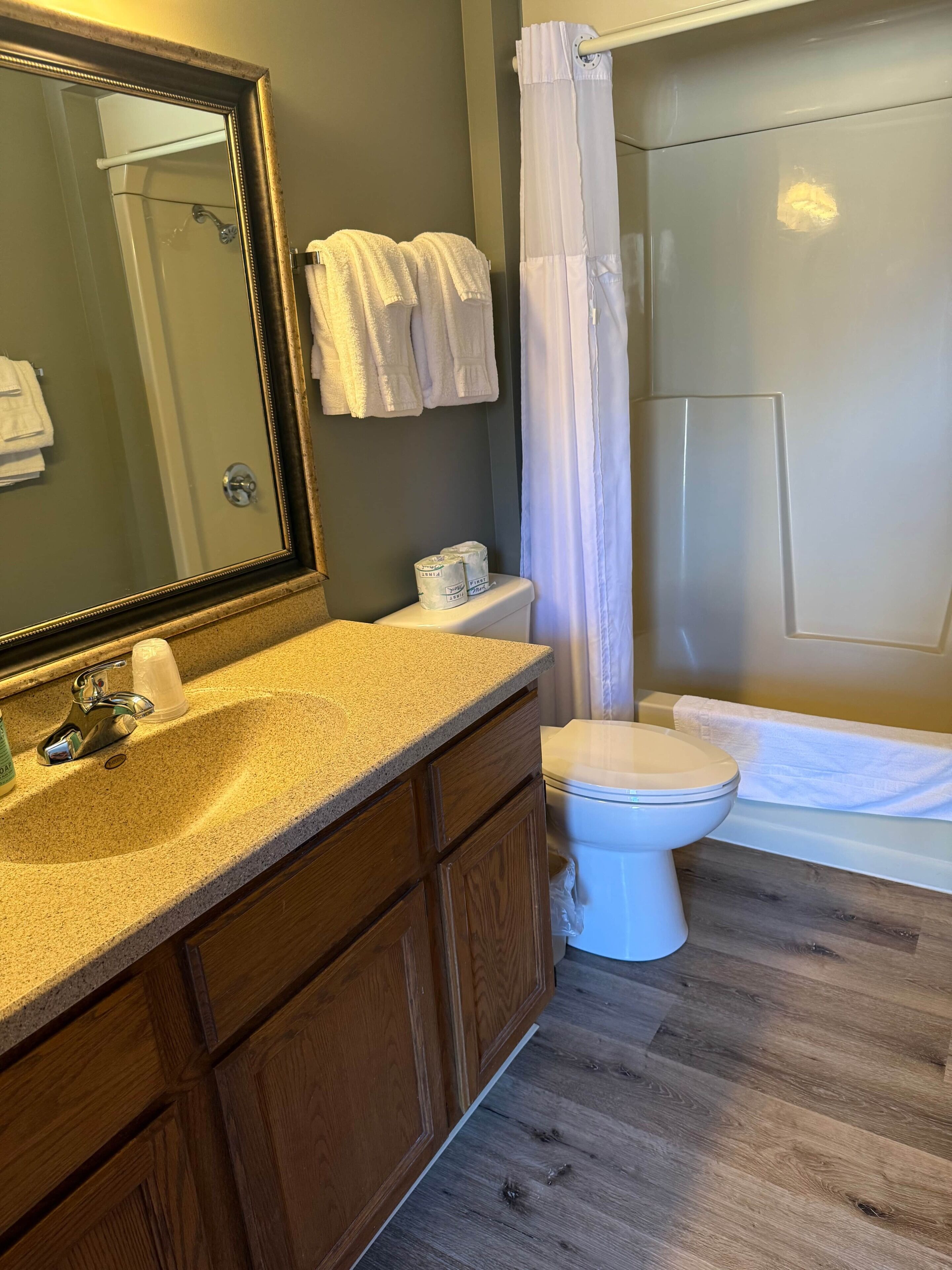 Une salle de bain équipée d’un lavabo, d’un miroir, de toilettes et d’un espace douche.