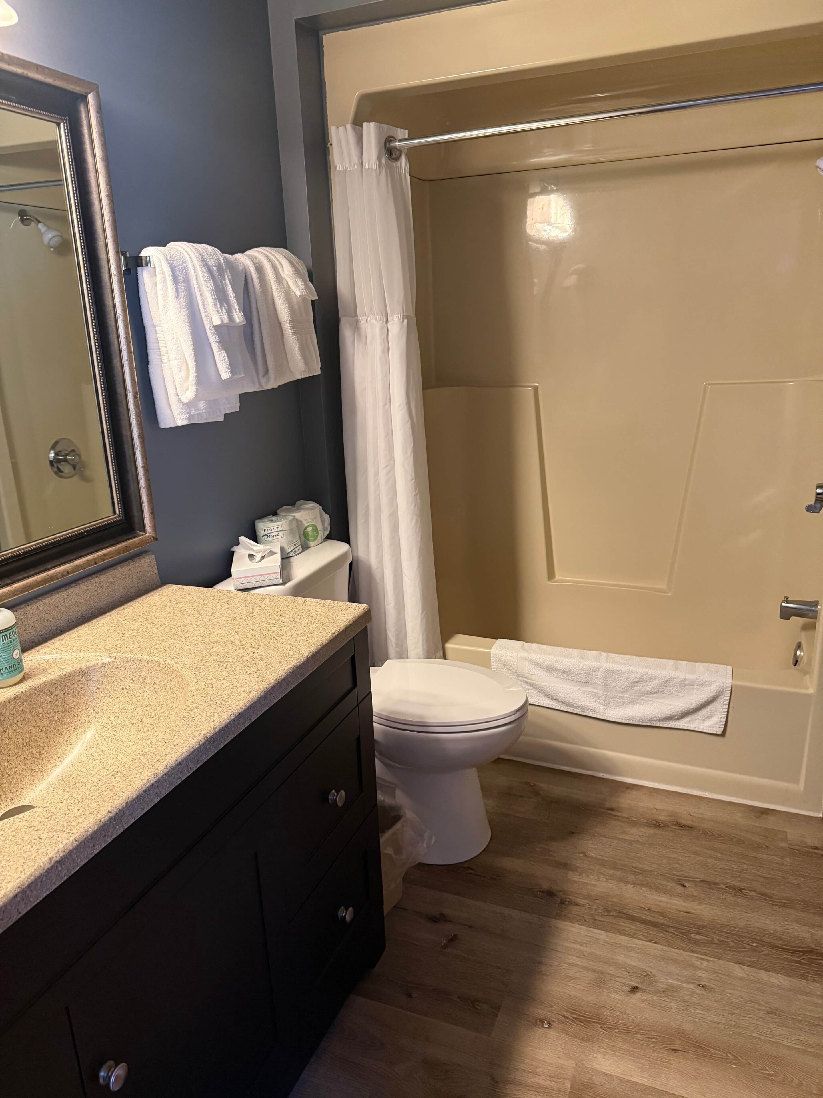 Ein Badezimmer mit Toilette, Waschbecken inklusive Spiegel, Dusche mit Vorhang und einem Handtuch an der Wand.