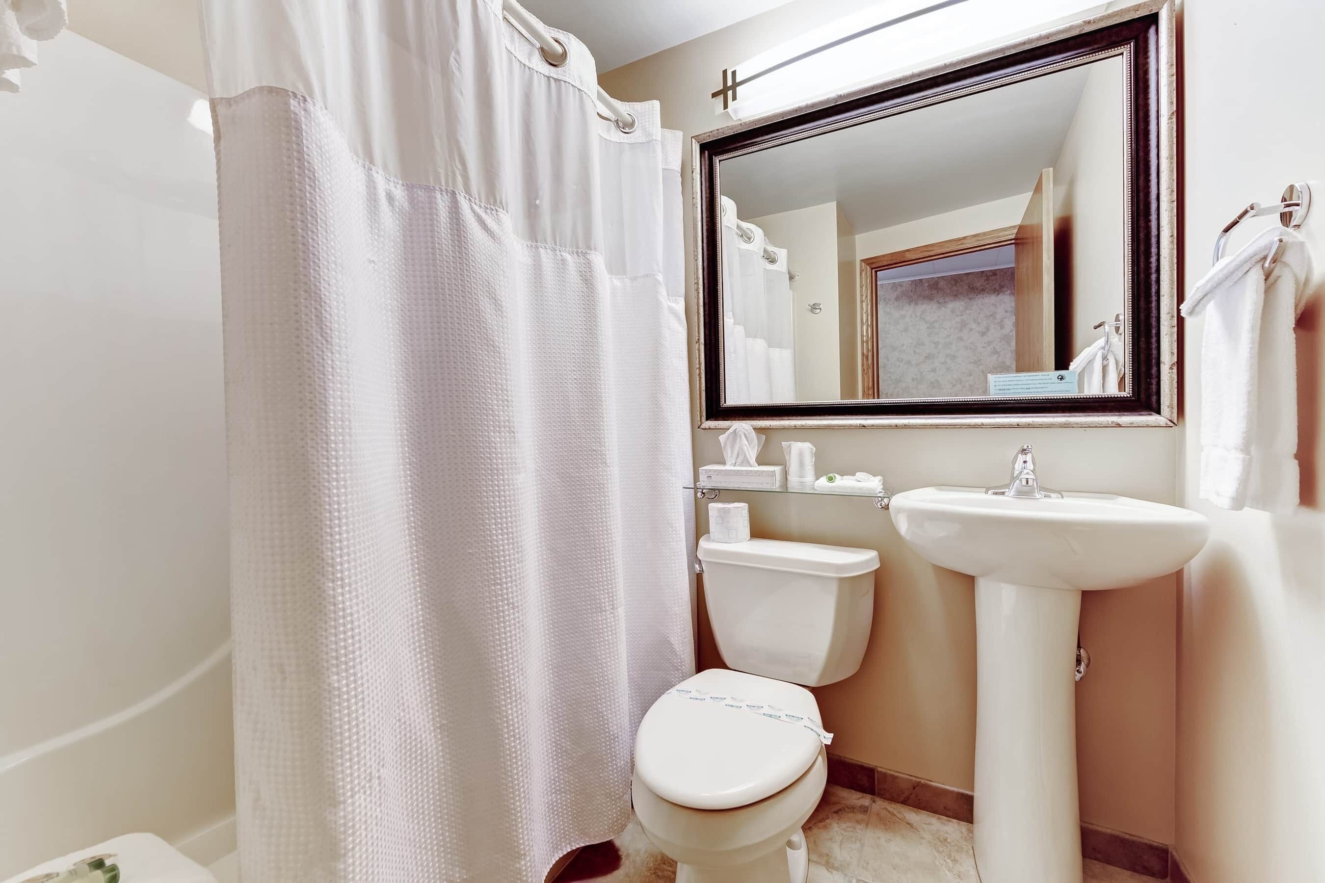 Ein Badezimmer mit Toilette, Waschbecken und Duschvorhang.