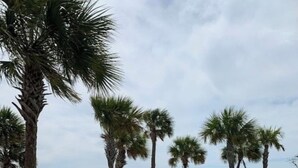 A swimming pool with palm trees and a fence. - New Windmark Phase 1 home on the beach with amazing views. (Port St. Joe)