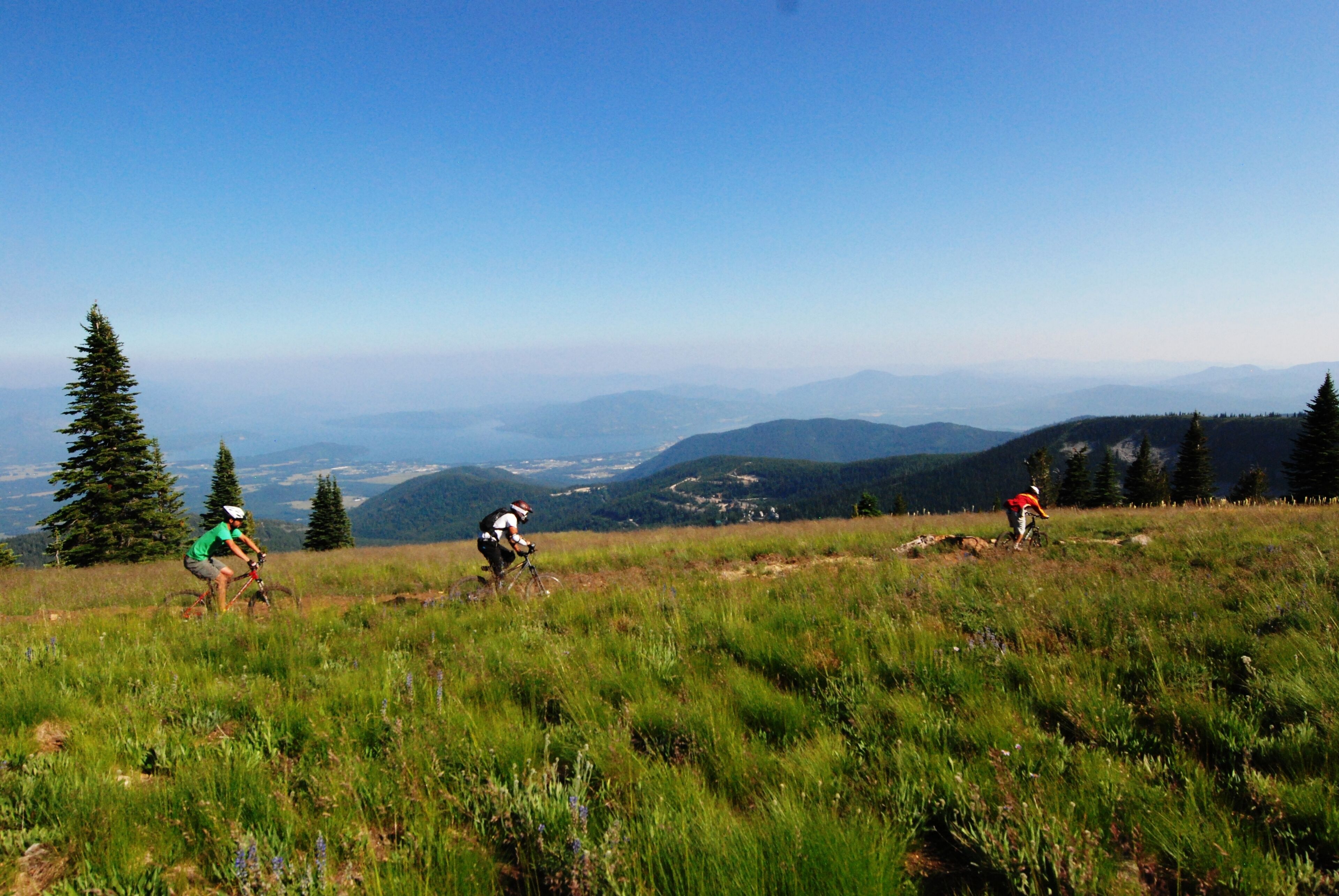 A mountain biking trail with three cyclists, surrounded by lush greenery and distant mountains.