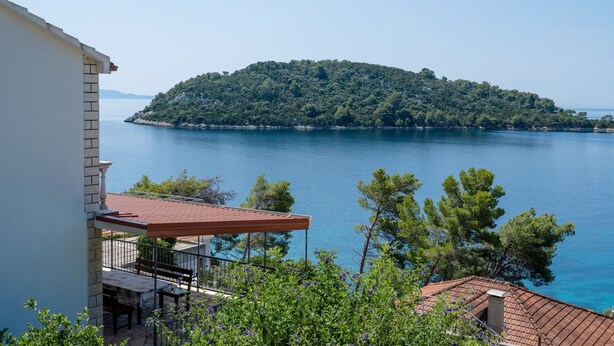 A balcony with a view of a lake and a forested island. - Panoramic Apartments Anić - Superior Two Bedroom Apartment with Terrace and Sea View (Blato)
