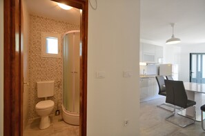 Shower, hair dryer, towels