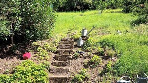 A garden pathway with stone steps, a bird feeder, and watering cans.