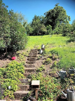 Um caminho de jardim com degraus de pedra, um comedouro para pássaros e regadores.
