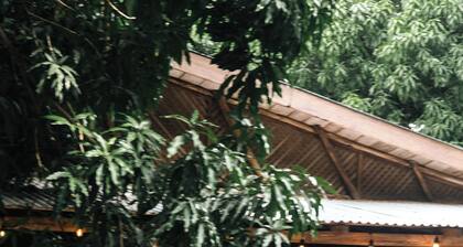 RusTeak Living Boutique Hotel Mango Studio - a Refuge in Nature