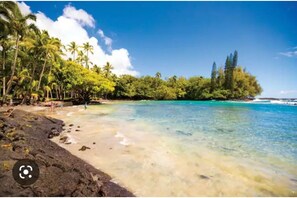 A beach with clear turquoise water, a sandy shore, and a line of palm trees. - Beach Road Hale (Keaau)