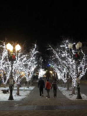 Snow and ski sports - Aspen Ski in - Ski out Resort. Around town transportation included. (Aspen)