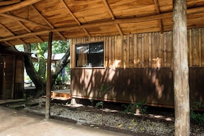 Property grounds - Beautiful Studio in a Natural and Quiet Pine Environment (canesistula)