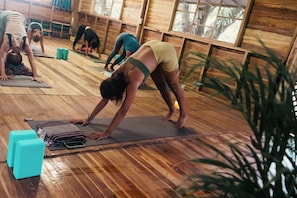 Fitness facility - Beautiful Studio in a Natural and Quiet Pine Environment (canesistula)