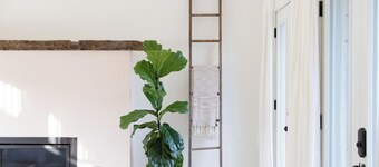 The Ferg Loft | Picton | 1 Bedroom