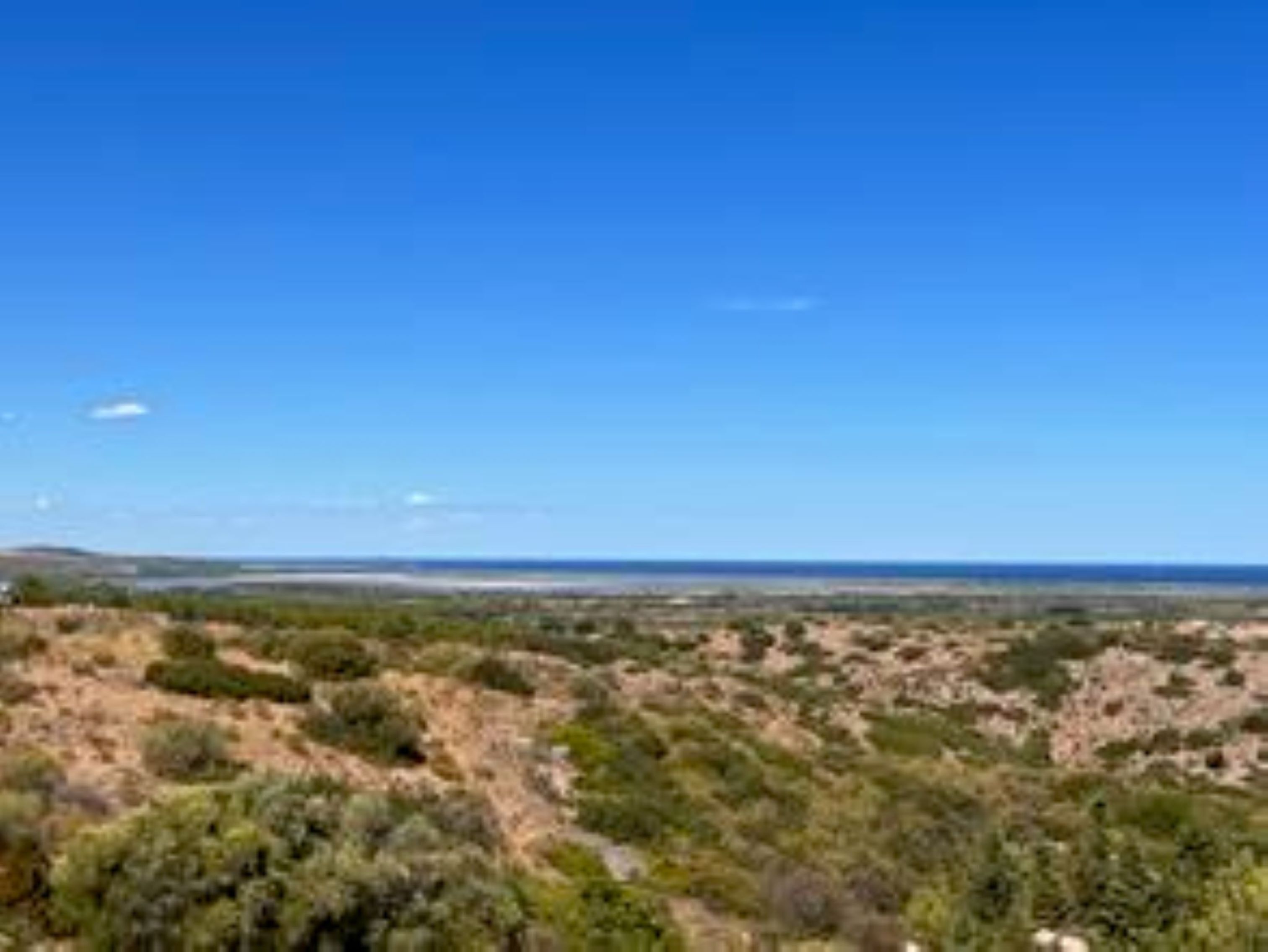 Un paysage avec une végétation clairsemée et un ciel bleu dégagé.