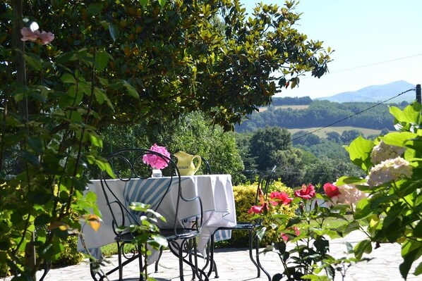 Outdoor dining - GURE GOSTUAN - ITXASSOU (ITXASSOU)