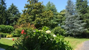 A garden with various trees and shrubs, a pathway, and a clear sky. - GURE GOSTUAN - ITXASSOU (ITXASSOU)