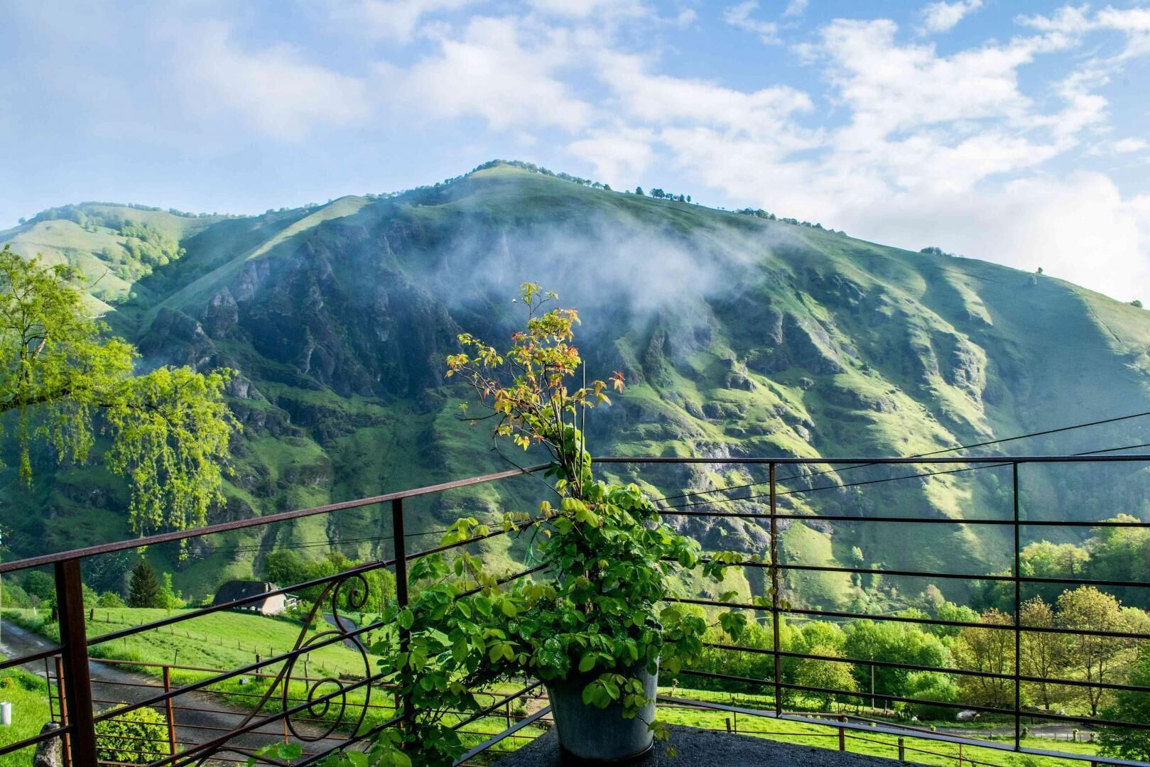Jardines del alojamiento