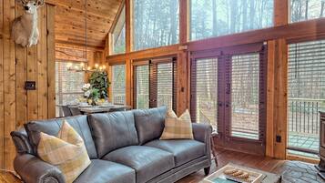 Smart TV, lareira, livros, escritórios