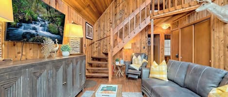 TV connectée, cheminée, livres, espaces bureaux