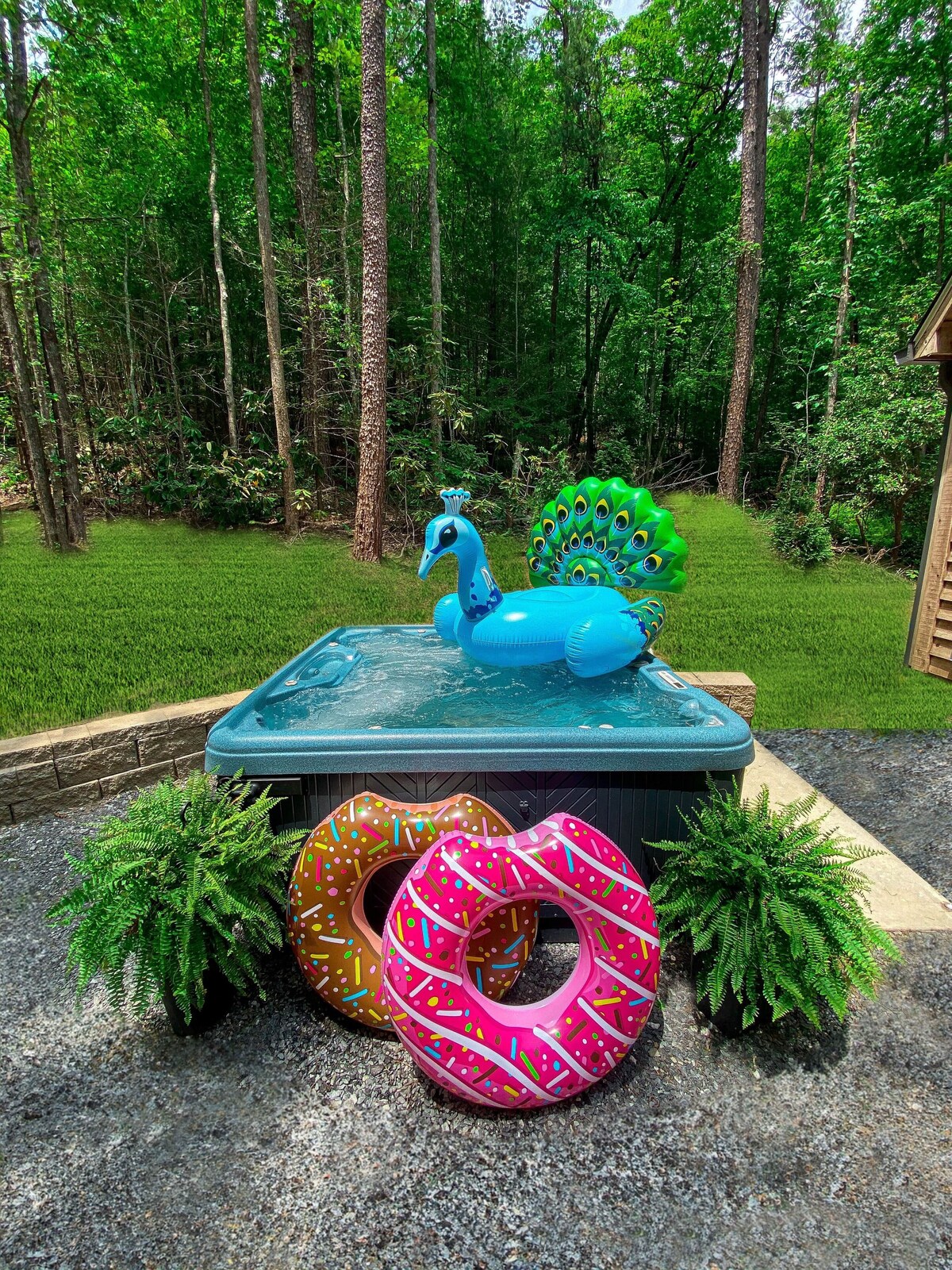 Image de profil de l’hôte