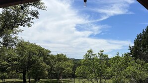 Una piscina con cubierta de madera, rodeada de árboles y un cielo despejado.