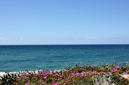 Villa on sand dunes a few steps from the sea, complete relaxation in North Sardinia
