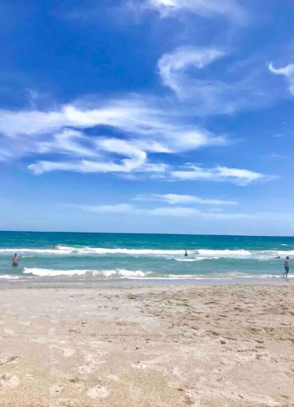 Camastros y toallas de playa 