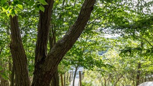 Un chemin de gravier, bordé d’arbres et de rochers, mène à une structure surmontée d’un grand objet métallique.