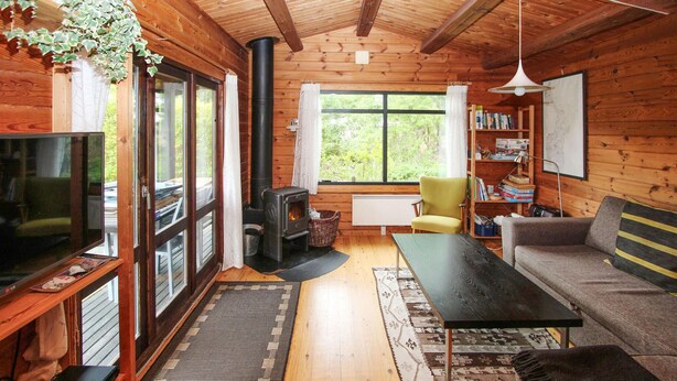 A cozy cabin interior with a fireplace, wooden walls, a sofa, a television, and a bookshelf. - 3 bedroom beautiful home in Samsø (Samsø)