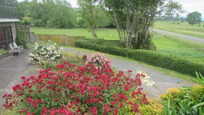 En have med røde og hvide blomster, en belagt sti og et træhegn.