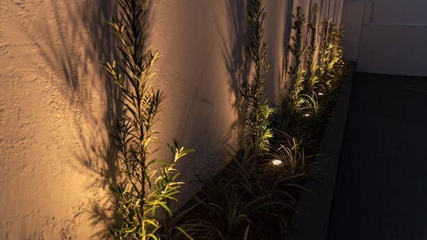 A row of plants against a wall with shadows cast on it. - Hotel Descalvado (Descalvado)