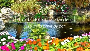 Un jardin avec un étang et des fleurs aux couleurs vives.