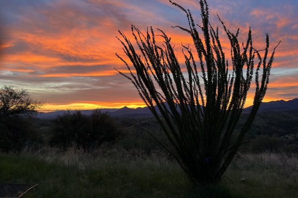 one of many spectacular sunsets