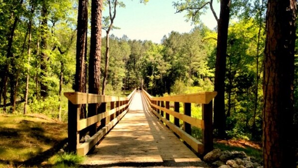 A wooden bridge in a forest. - Sugar Shack - Rustic charm meets modern amenities! (Arapahoe)