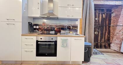 Le Gayssion Loft incroyable en hôtel particulier