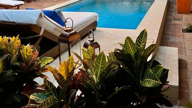 A swimming pool with lounge chairs and umbrellas, surrounded by potted plants and a tiled roof. - Camino a Santa Fe (Guaduas)