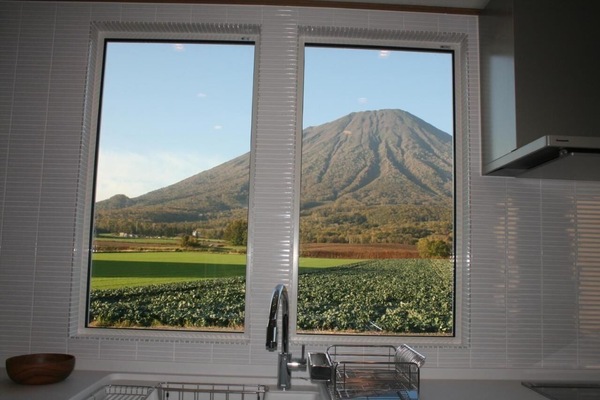 From the kitchen in summer