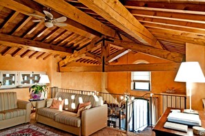 TV, fireplace, DVD player