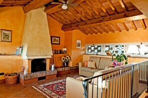 TV, fireplace, DVD player